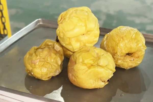 Factory Footage: Microwave Drying Experiment for Fruits and Vegetables